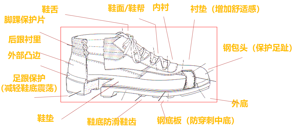 安全鞋的结构 安全鞋的结构