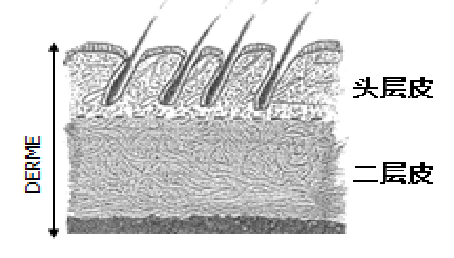 安全鞋鞋面/鞋帮 安全鞋鞋面/鞋帮