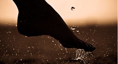 我们的脚 我们的脚